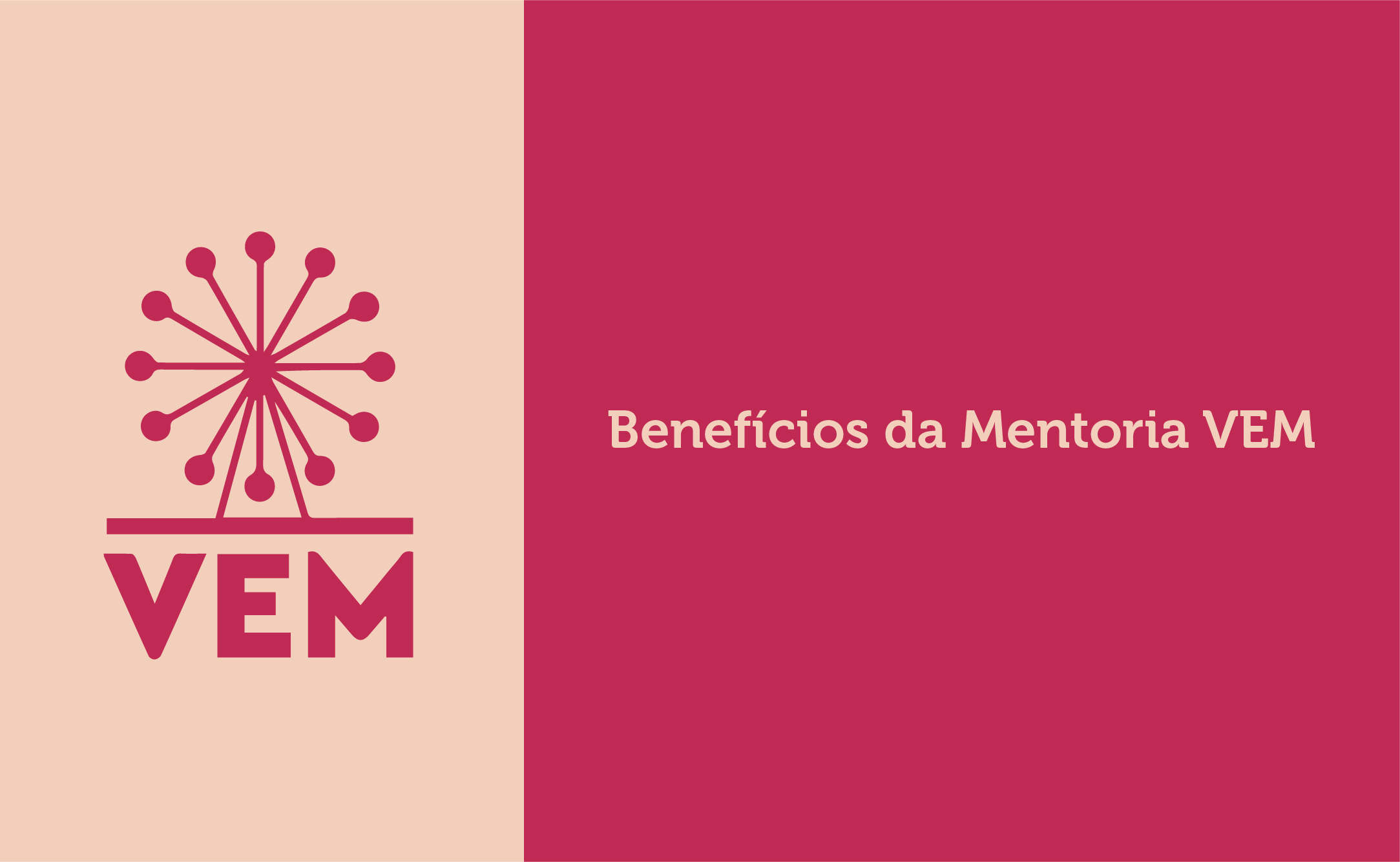 mentoria vem